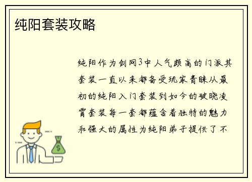 纯阳套装攻略